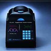 PCR擴增儀(PCR基因擴增儀)