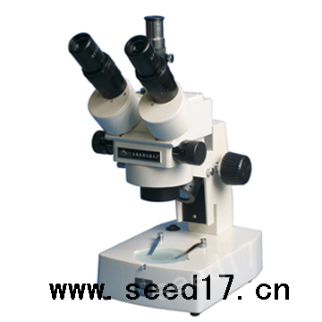 �B�m׃���wҕ�@΢�R PXS-D