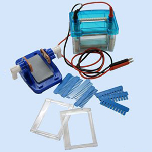 ��ֱ�Ӿ�� DYCZ-24DN