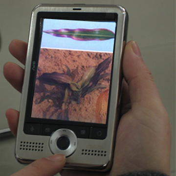 �y(c��)���䷽ʩ����Ϣ��ԃ ZWY-1