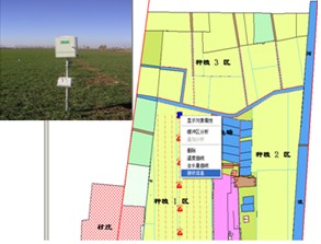 �����o�����c���麵�錍�r�O�yϵ�y���O�y�x������ϵ�y TZS-GSM