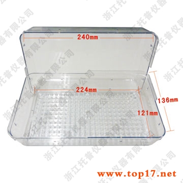 種子發芽盒(25x25x7cm)