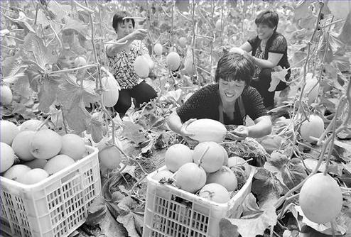 ���r���ڲ�ժ�o�����Ϲ�