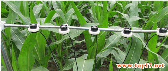 多通道光合有效輻射記錄儀 TPF-8N