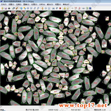 �������^Ʒ�|(zh��)�z�yϵ�y(t��ng)