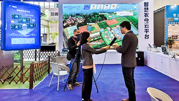 �����V����_��ӛ�߲��L�������r