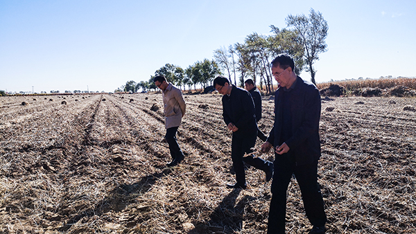 �x���A�����Ρ������ָ����Ρ����ꖶ����L���ں�������