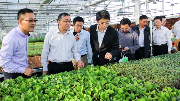 ������ͨ�^�֙C�˲鿴�����x��y����x��O�y�D���A������