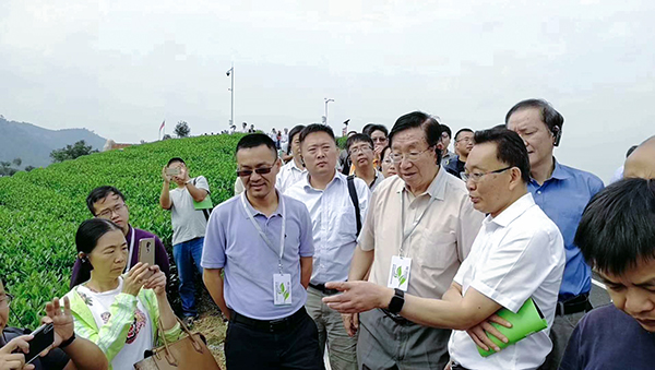 ��Ӗ���F��