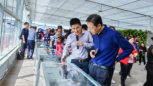 �������r���������������Ӗ���B�������ܽK��