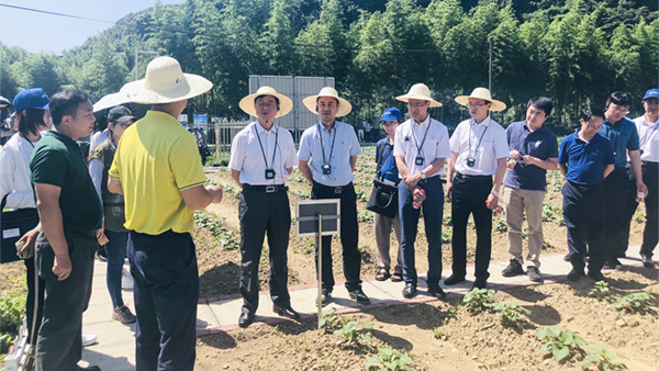 ��Ӗ��F(xi��n)���^Ħ�����|���O(ji��n)�y�c