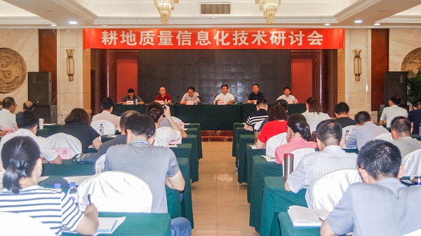 ���h�F���D