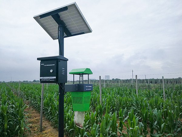 風(fēng)吸式殺蟲燈