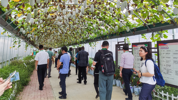 ����F(tu��n)һ��Ԕ��(x��)�˽┵(sh��)���r(n��ng)�I(y��)��Q�����;��w��(y��ng)�ó�Ч