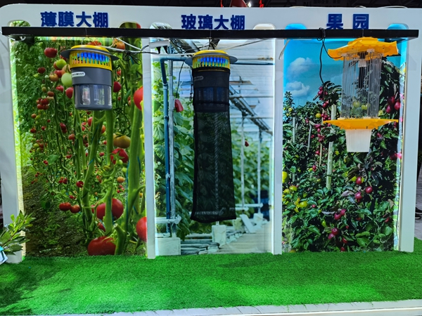 ��@�����@���������Gɫ�����O��