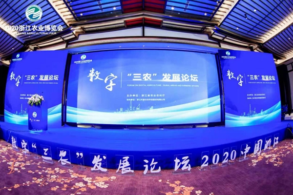 2020�㽭�r�I���[���ں���ʢ���_Ļ