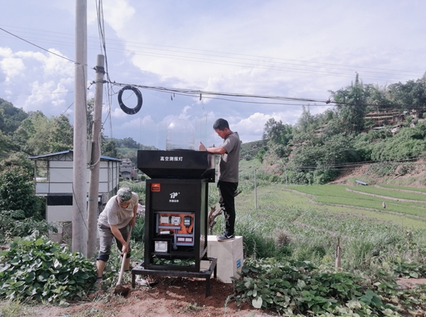 ����Ⱥ��