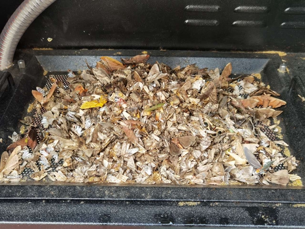 �C���T����ɺ���x�w�����֣�