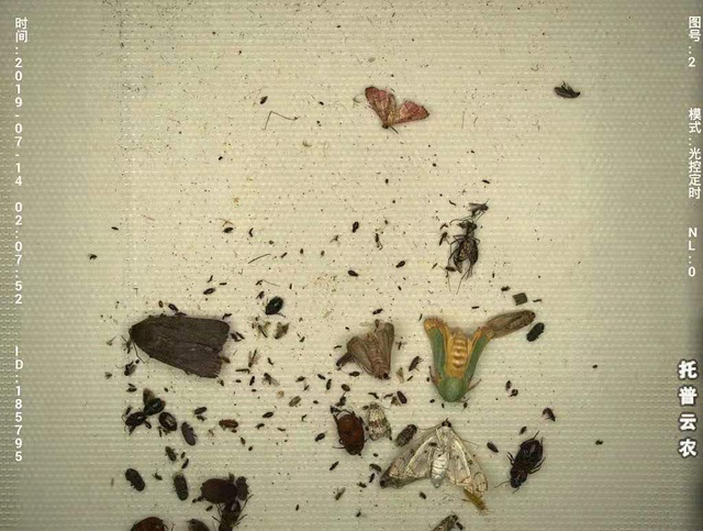 �ھ��鿴�����x(ch��ng)��