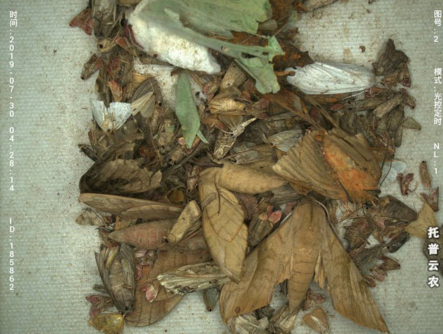 �h(yu��n)�̲鿴