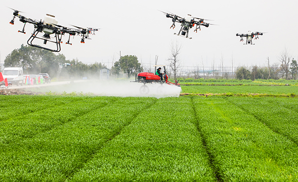 寧波古林“無人農(nóng)場”