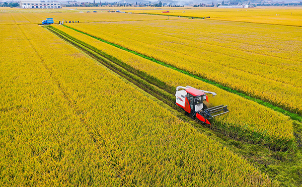 �������ִ��(sh��)���r(n��ng)�I(y��)�Ŀ�����D