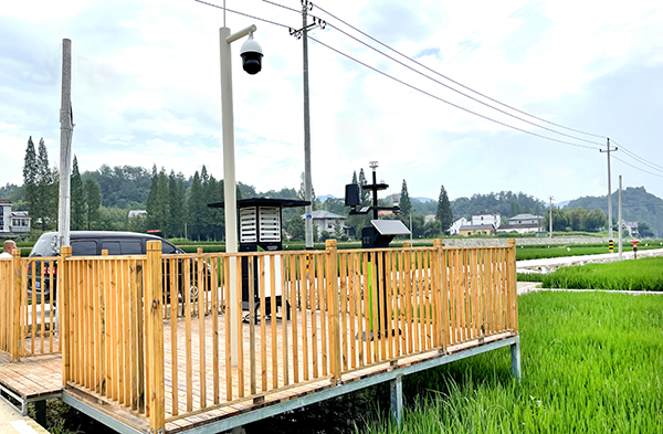 �R��̫��(zh��n)��(sh��)�ֻ��ߘ˜��r(n��ng)����D