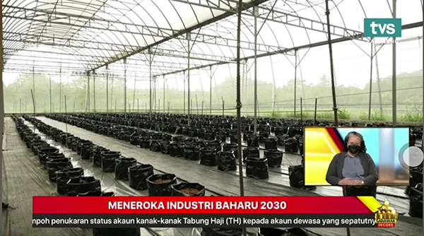 �������r�����r�I��Q�������R�������đ��È���