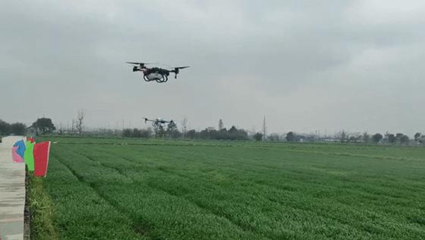 無人機噴灑