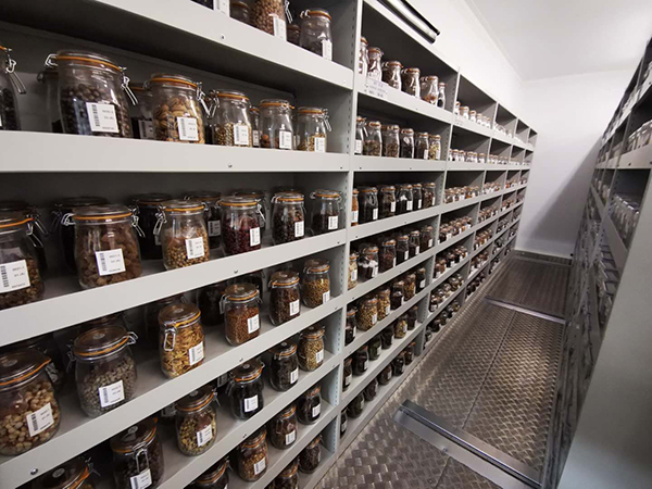 種質(zhì)資源庫系統(tǒng)