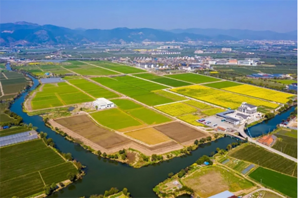 ���ִ�����r�I�Ŀ���O��Ч