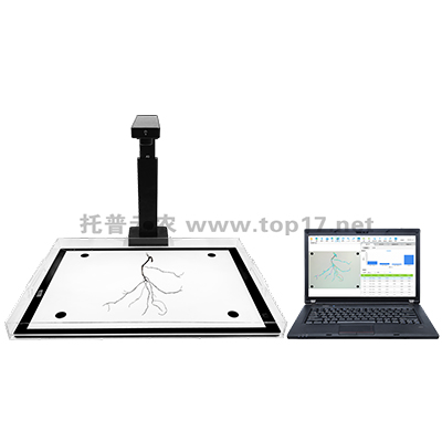 ֲ���ϵ����ϵ�yGXY-B