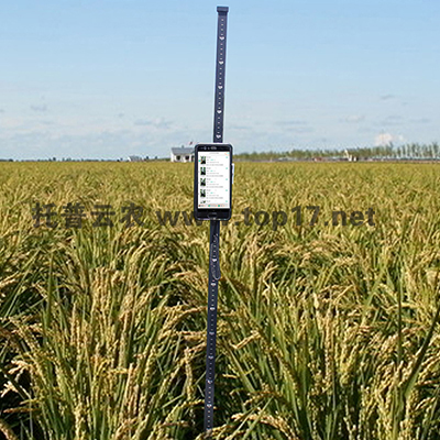 作物株高測量