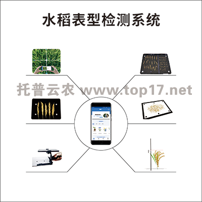 水稻表型檢測(cè)系統(tǒng) TPS-BX-1