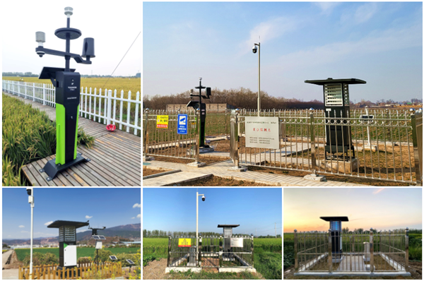 ���ķ���(w��)��ֻ���Ñ�ʮ�֝M��