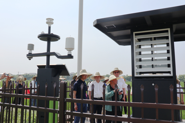 ���^�ߘ�(bi��o)��(zh��n)�r(n��ng)����ʔ�(sh��)�ֻ���(y��ng)�È������㽭�l(xi��ng)����X�������r(n��ng)��(y��u)Ʒ����瑪(y��ng)�È���