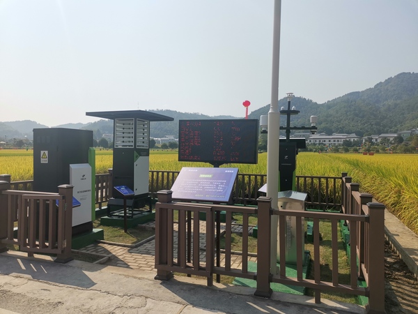 與會專家領(lǐng)導(dǎo)現(xiàn)場觀摩托普云農(nóng)支撐建設(shè)的天涯種業(yè)科學(xué)院麻山基地