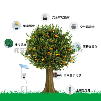 植物生理生態監測系統