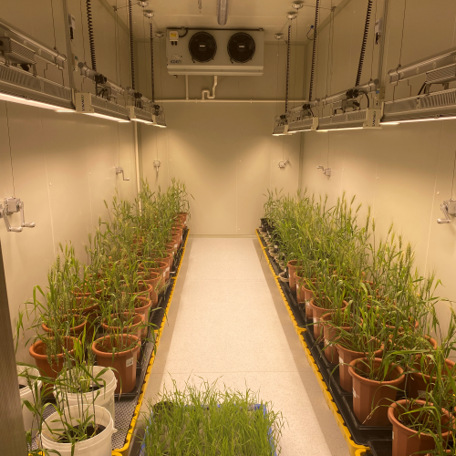 植物生長室 定制