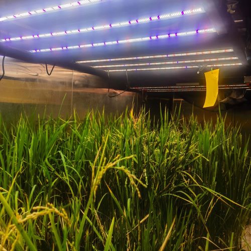 ���N�Ӵ��� ����