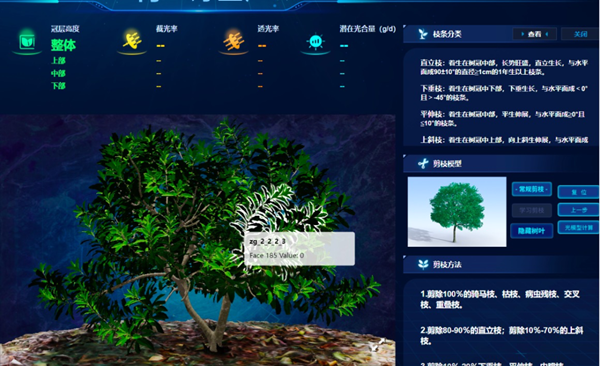 “云”上種顆楊梅樹,農戶照著養楊梅