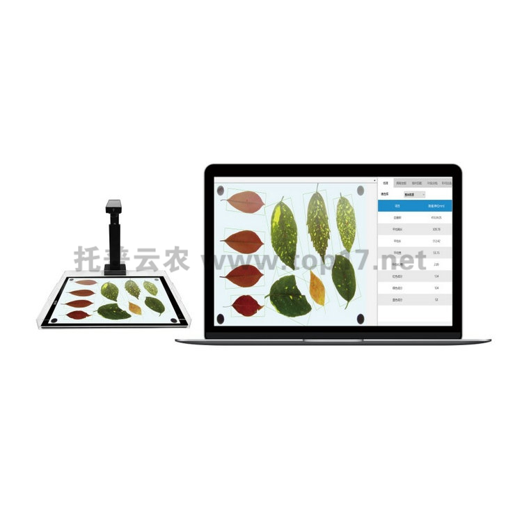 �����~��e�y��ϵ�y YMJ-PC