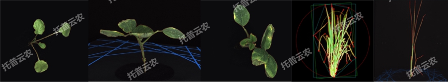 �澳ģ�M��ֲ�����L�O�yƽ�_-2�S