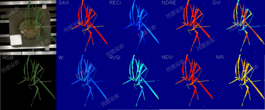 �澳ģ�M��ֲ�����L�O�yƽ�_-�߹��V�����cָ�������Y��