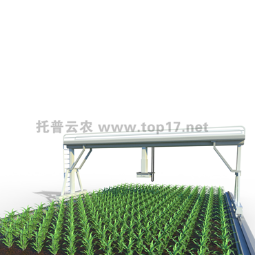 田間軌道式高通量植物表型分析平臺 軌道式