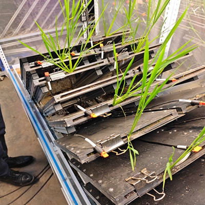 高通量植物根系表型采集分析系統(tǒng)(根盒式) TPN-GXY-GH